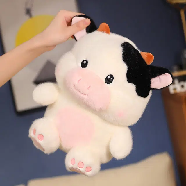 26cm