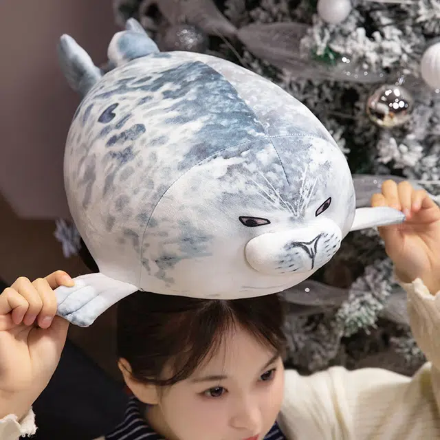 25cm40cm