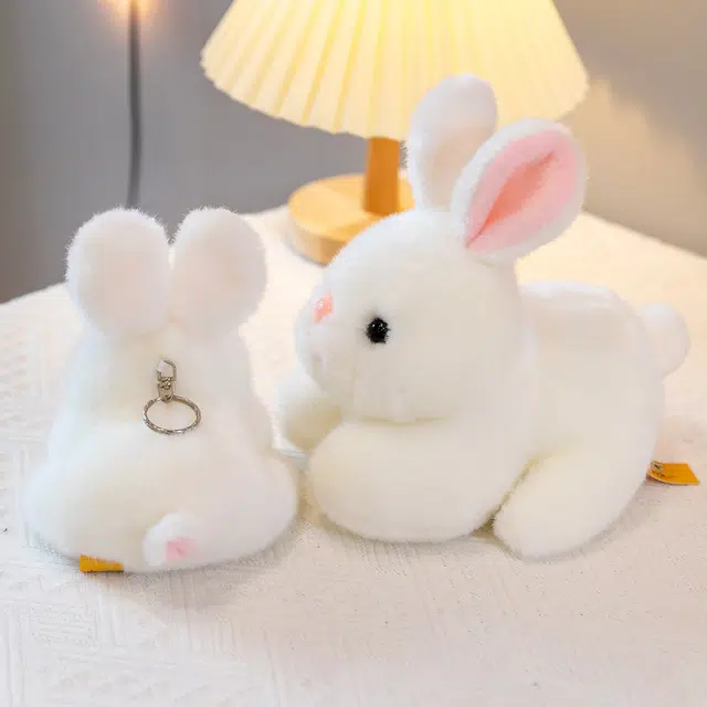 15cm20cm
