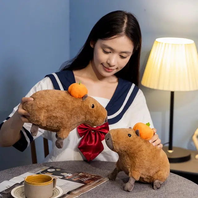 30cm