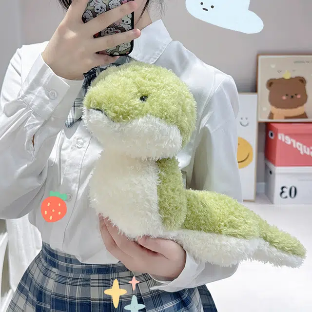25cm43cm