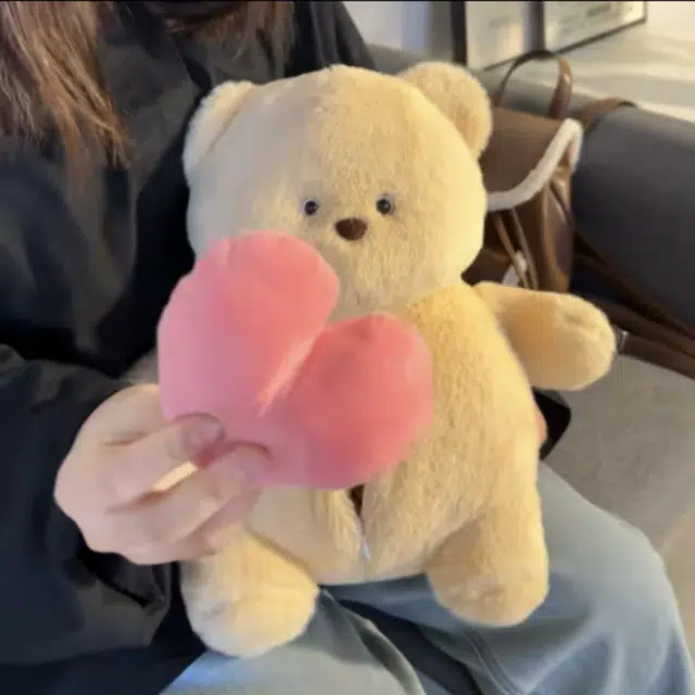 39cm55cm