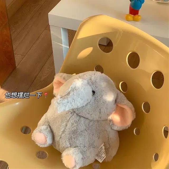 22cm30cm40cm