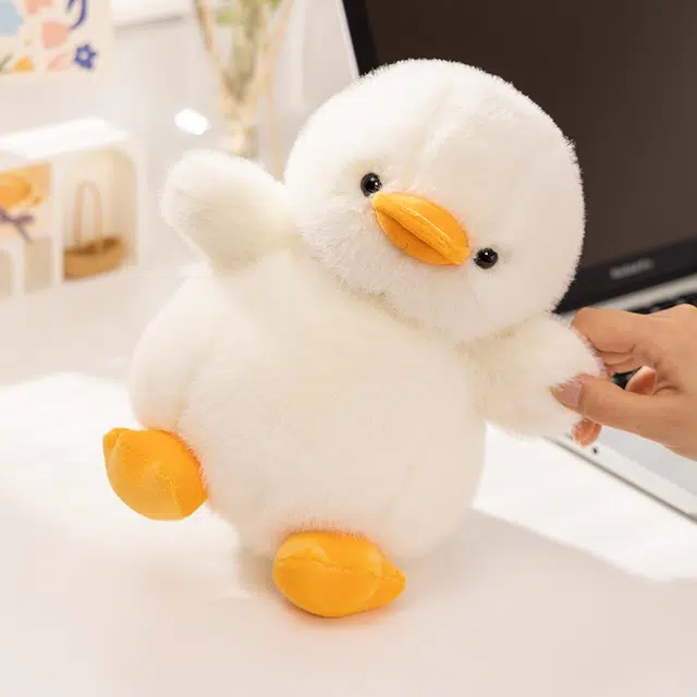 25cm35cm