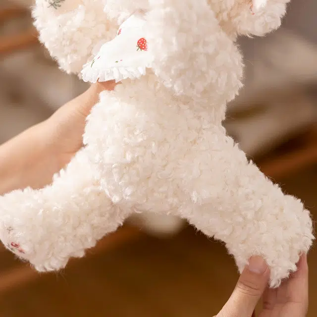 28cm