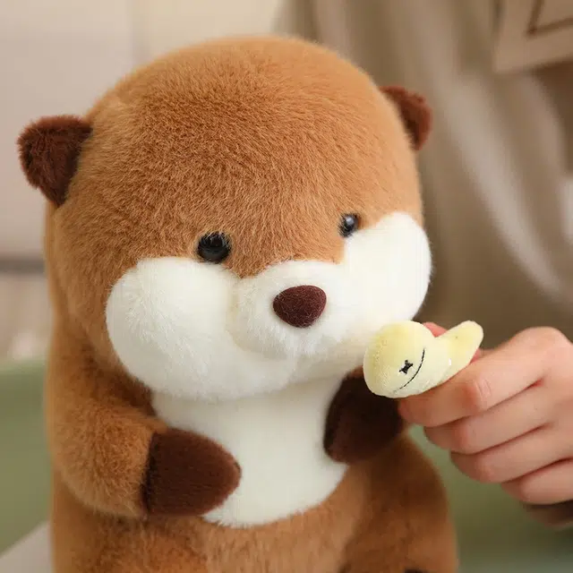30cm