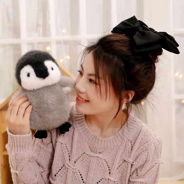 23cm30cm