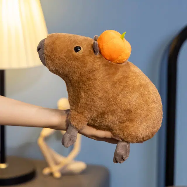 30cm