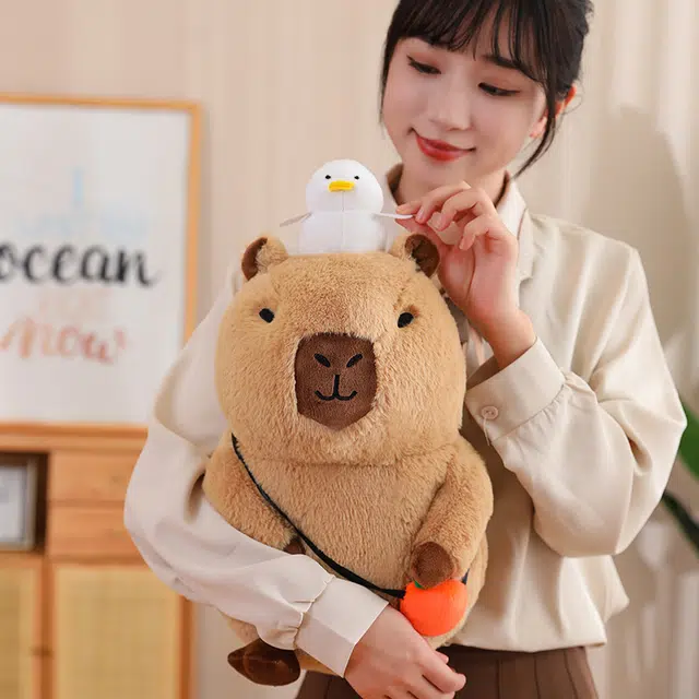 20cm30cm40cm