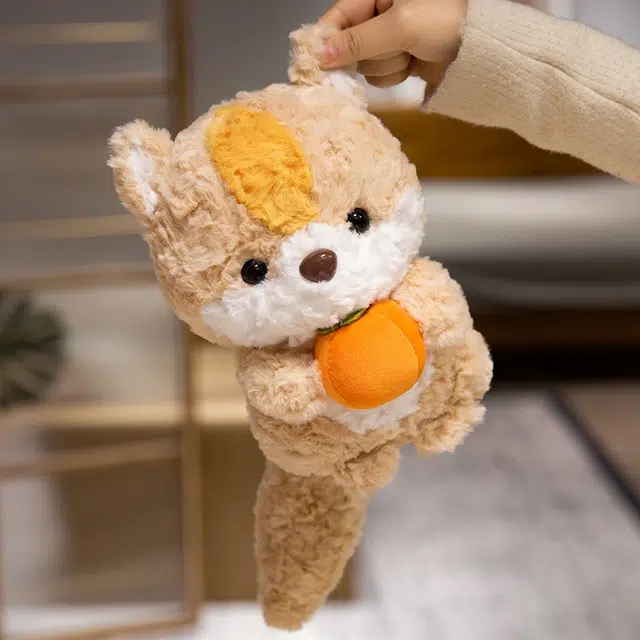 24cm