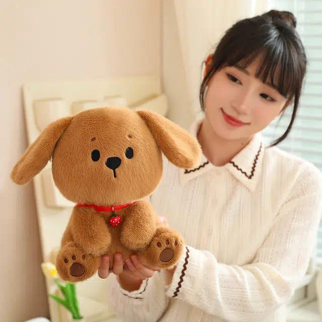 25cm35cm