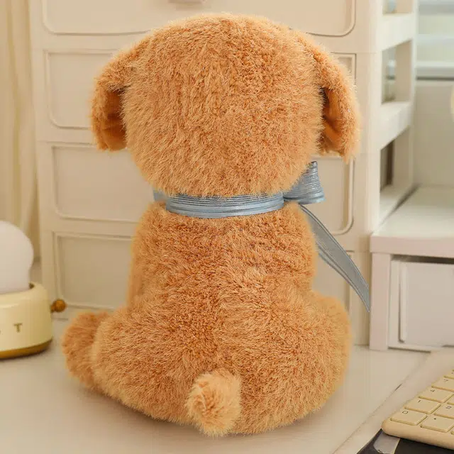 25cm