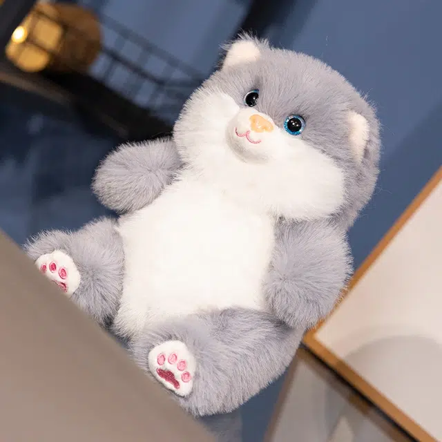 20cm