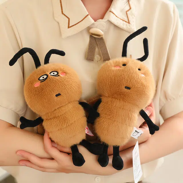 20cm