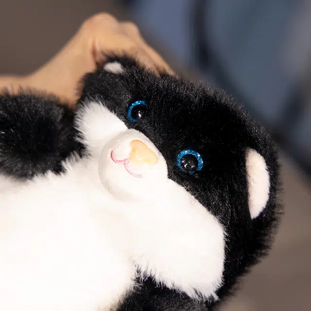 20cm
