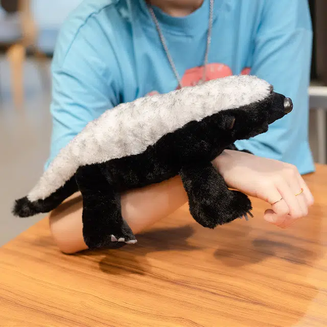 40cm50cm