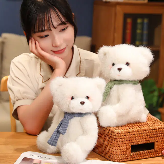 25cm35cm