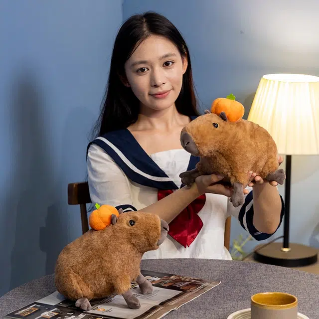 30cm