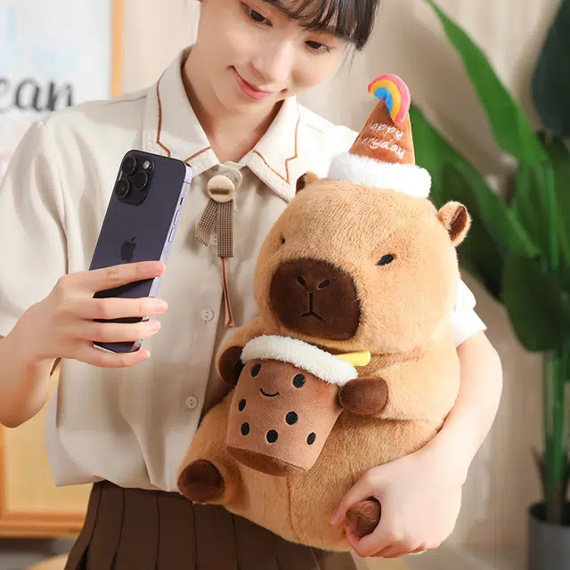 30cm40cm