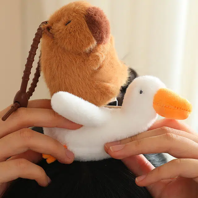 12cm