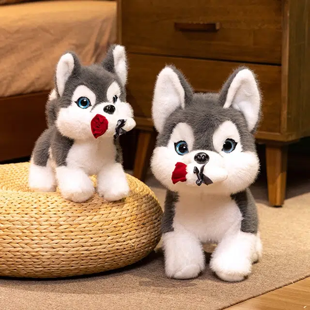 30cm40cm