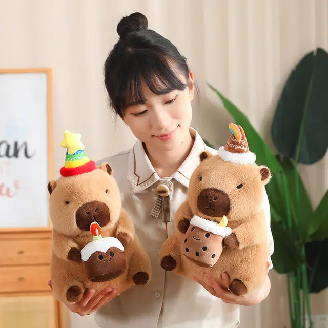 30cm40cm