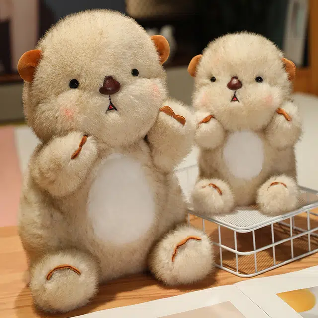 20cm30cm40cm