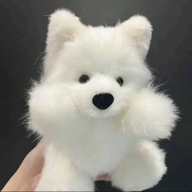30cm