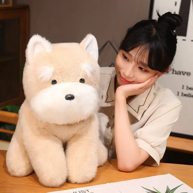 22cm35cm45cm