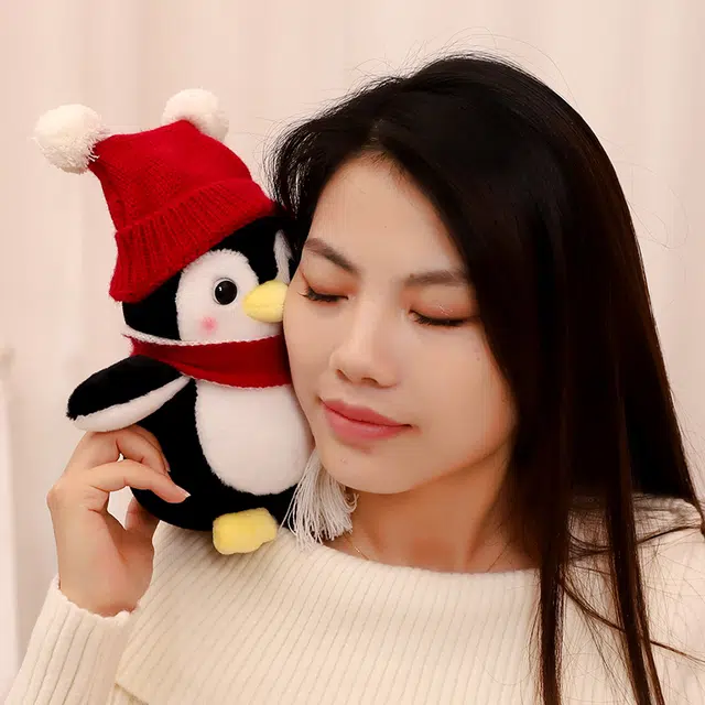 25cm35cm