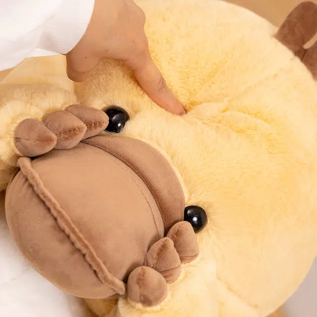 21cm30cm45cm