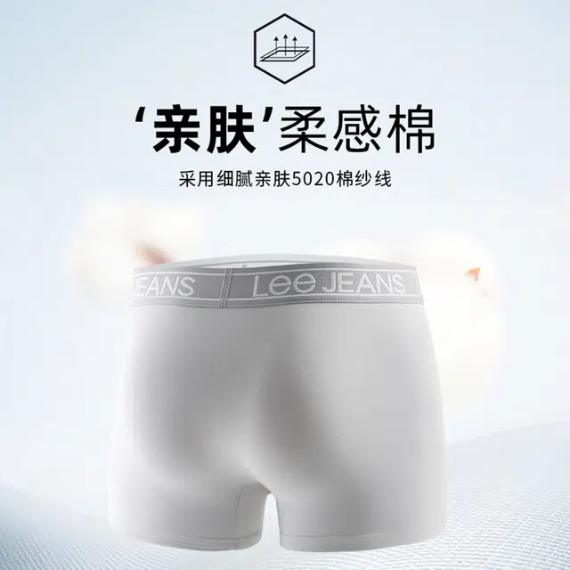 Lee 3