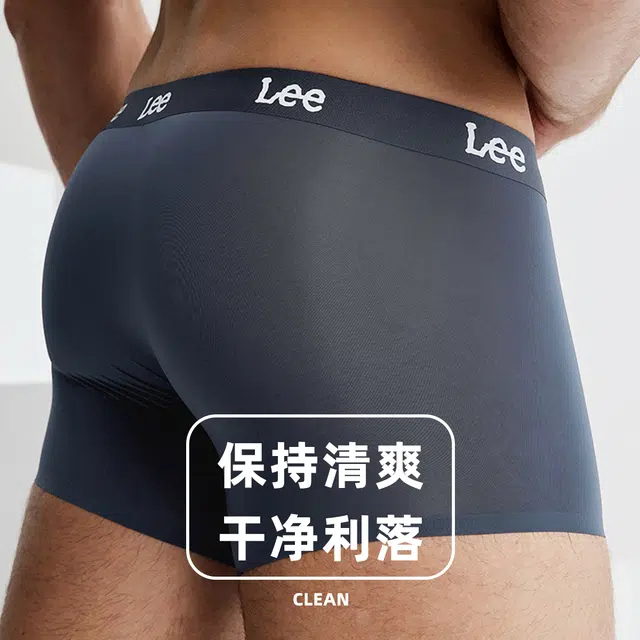 Lee 3