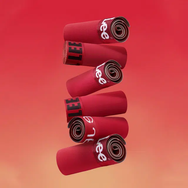 Lee Logo 3
