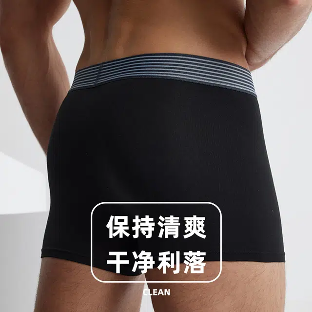 Lee 3