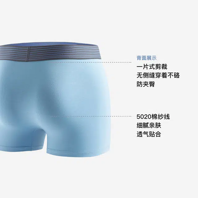 Lee 3