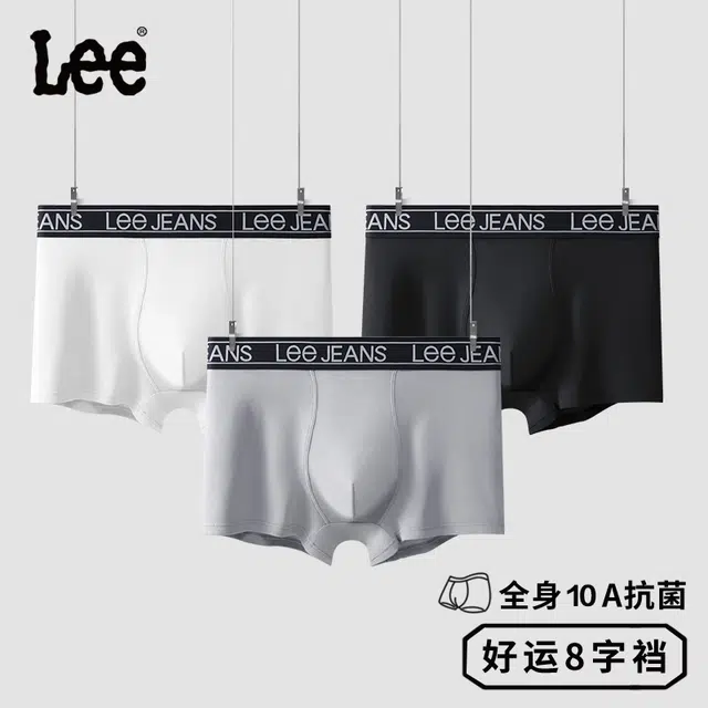 Lee 3