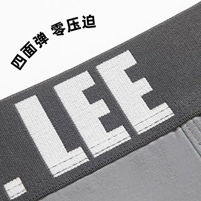 Lee 4