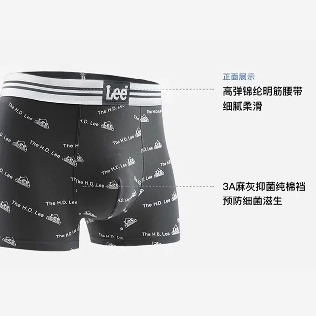 Lee 4