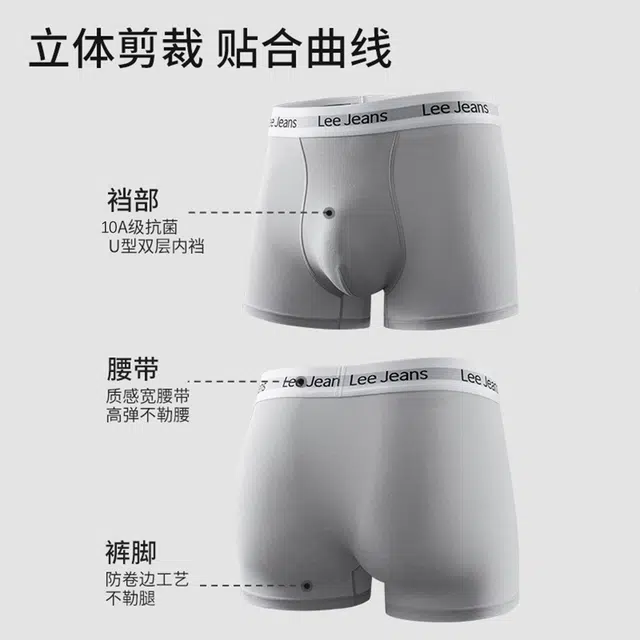 Lee 4