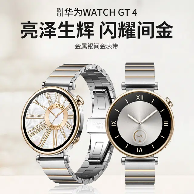 wepro WATCH GT4gt3