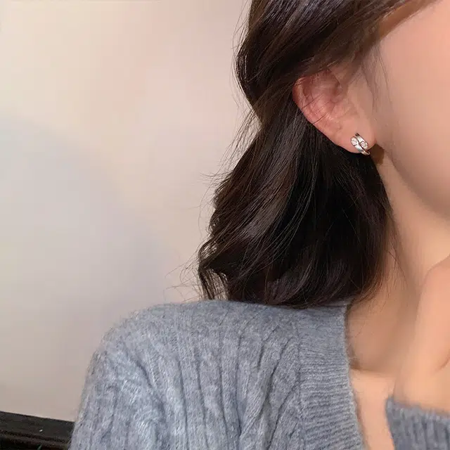 ins 925