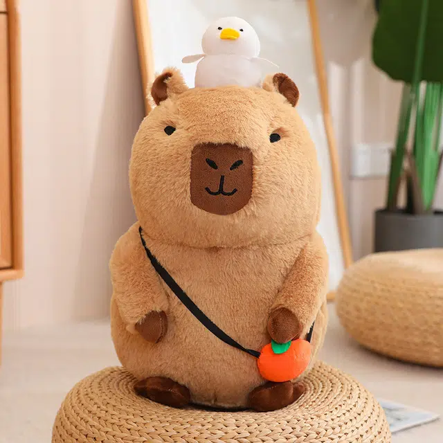 20cm30cm