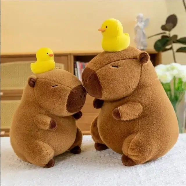 25cm30cm35cm45m