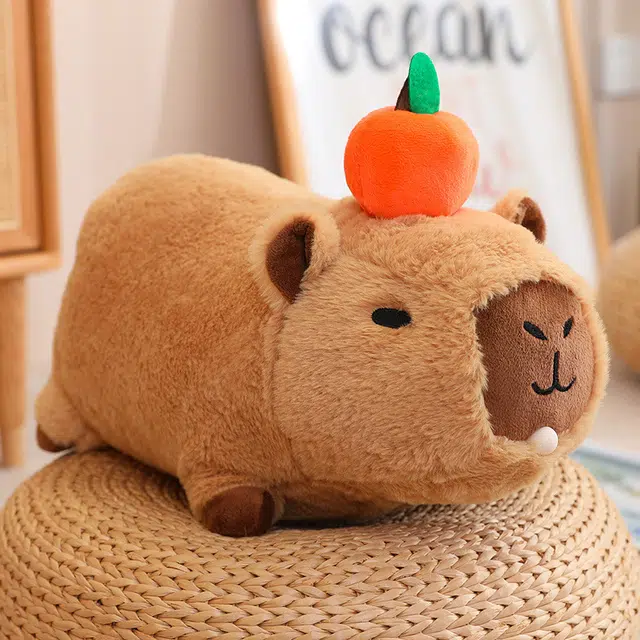 20cm30cm