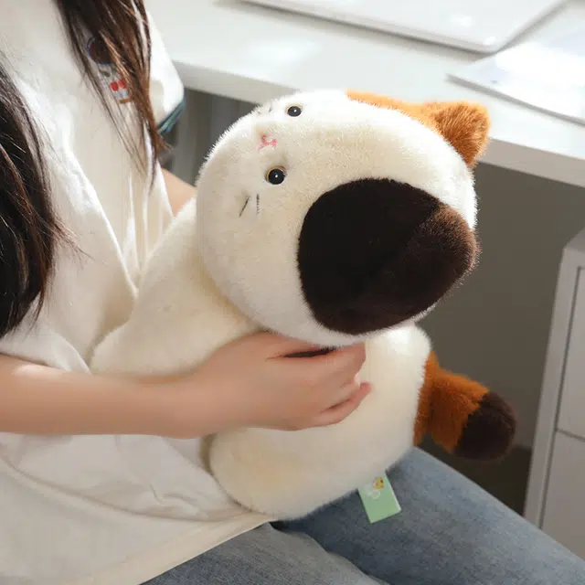 20cm30cm