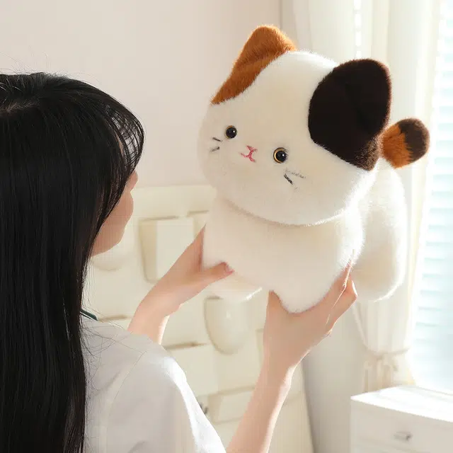 20cm30cm