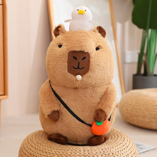 20cm30cm