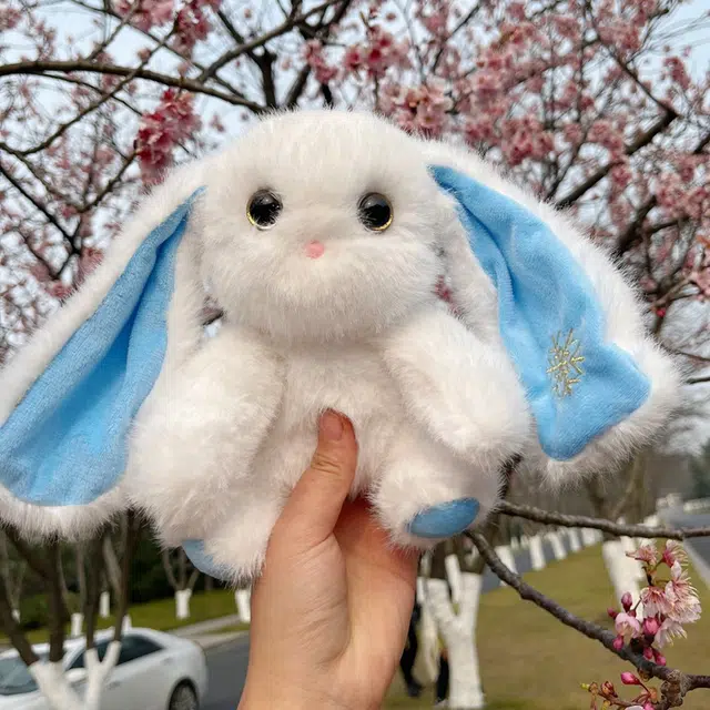 25cm