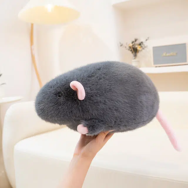 18cm35cm65cm